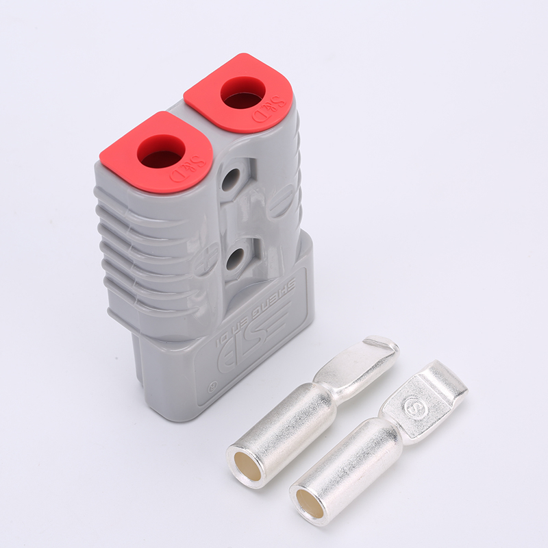 191A2953.jpg 191A2953.jpg