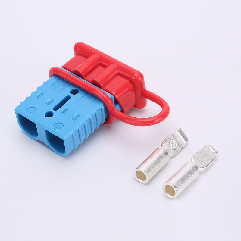 191A2919.jpg 191A2919.jpg