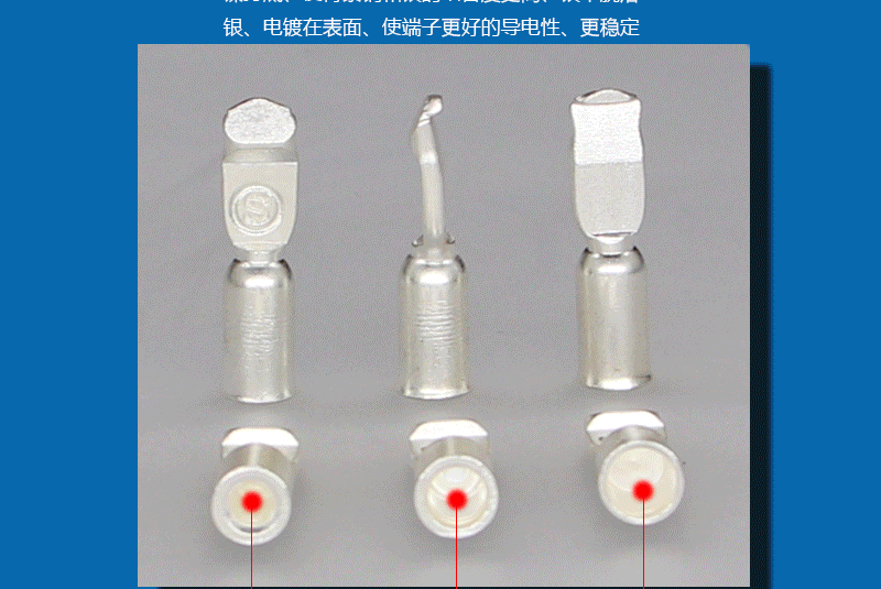 100_06.gif 100_06.gif