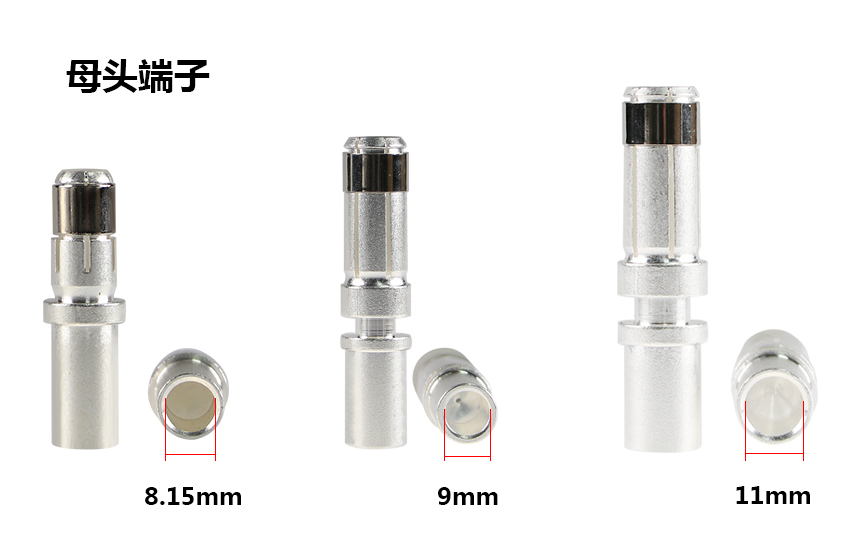 如何分辨公母_03.jpg 如何分辨公母_03.jpg